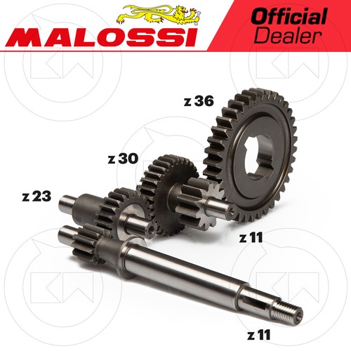 Malossi 677021 ingranaggi - 677021,