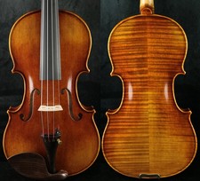 Violino completo professionale