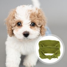  2 Pcs Accessori Cani Piccola