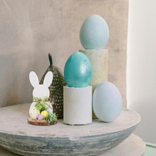  Coniglio Pasquale Decorazioni