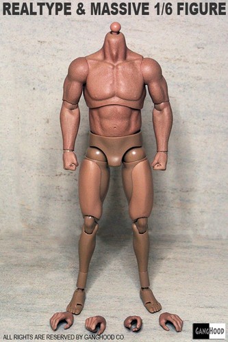 Ganghood corpo muscolare - corpo,