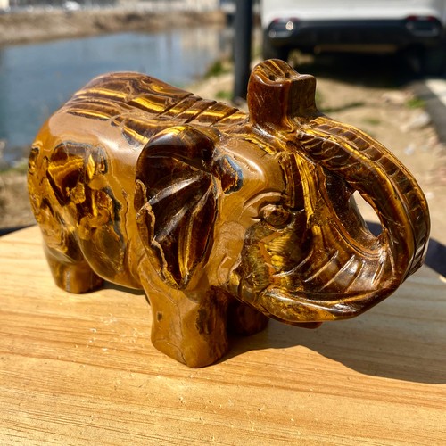 Statua elefante intagliato - , a