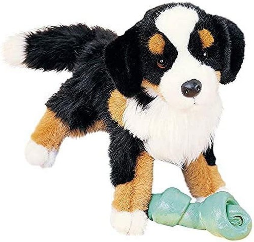Trevor bernese mountain - bernese,