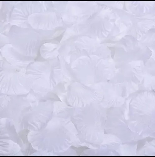 200 petali rosa finti - 200, di