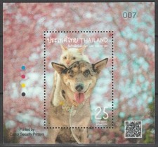 Thailandia 2024 Animali