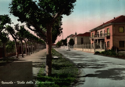 Narzole cuneo viale della - cuneo,