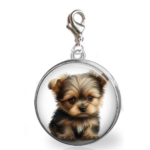 Yorkshire terrier yorkie - yorkshire,