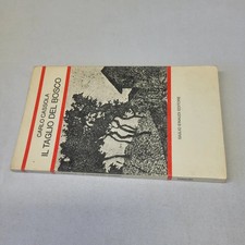 (Cassola) Il taglio del bosco
