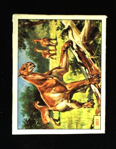 Animali preistorici - animali, (1974)