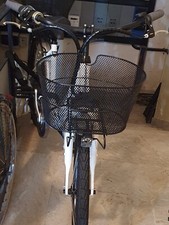 Bicicletta elettrica - , a