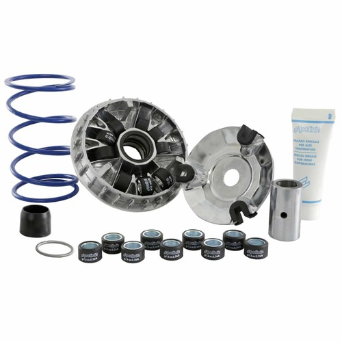 Polini p241665 variatore - polini,