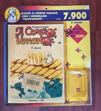 Esplorando corpo - il,