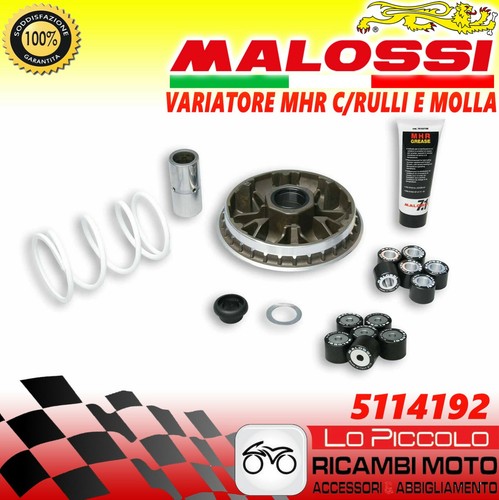 Variatore completo malossi - completo,