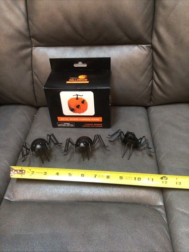 Spike zucca ragno nero - ragno, in