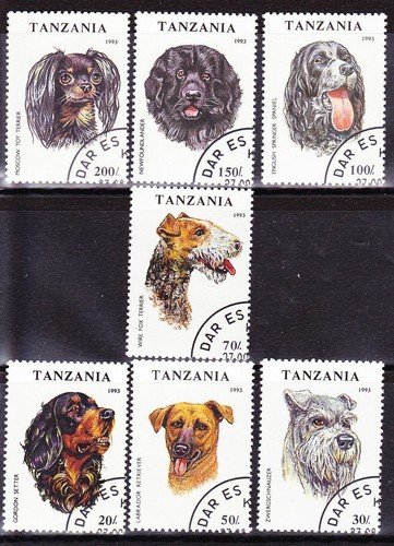 Set completo per cani - , dogs