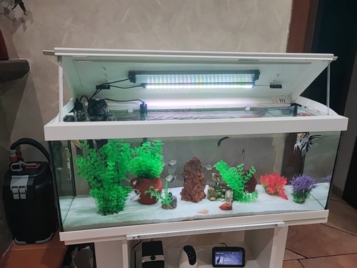 Acquario 100 litri completo - completo, di