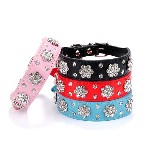 Collare cane pelle strass - cane,