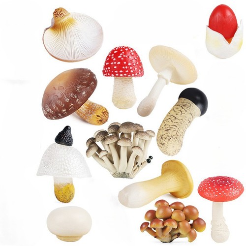 Set statuine funghi - 12,