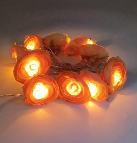 Ranuncoli luce - di,