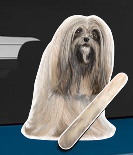 Lhasa apso dog rear - rear, window