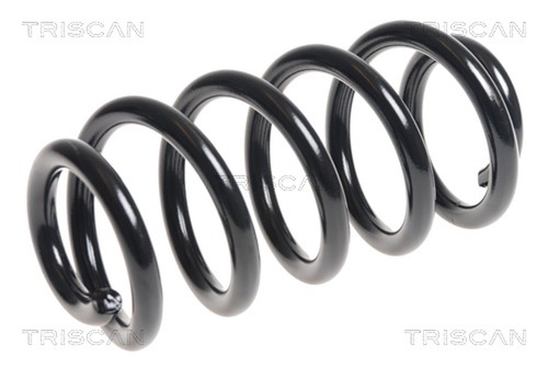 Molla sospensione triscan - 1x,