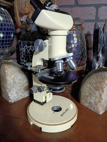 Microscopio bino vintage - microscopio,