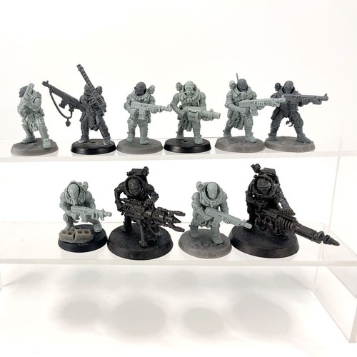 X10 neophyte hybrids - hybrids, plastique