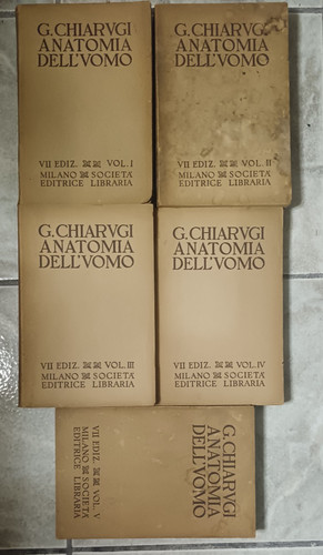 Anatomia dell uomo volume - dell'uomo,