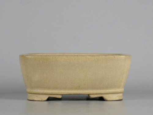 Vaso per bonsai giapponese