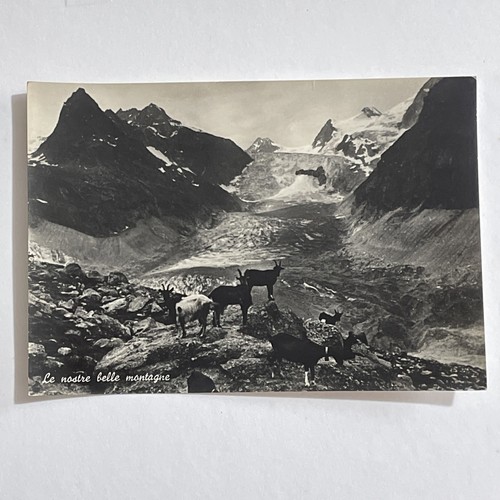 Nostre belle montagne - montagne, cuneo