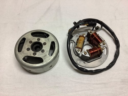 Volano completo 100w motore - volano, 6v