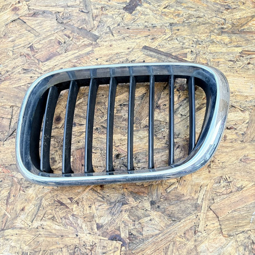 Griglia radiatore bmw - griglia, x5