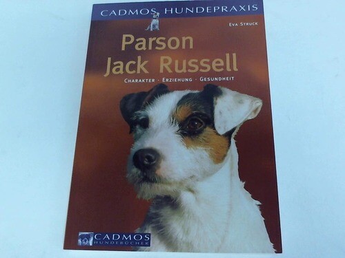 Parson jack russell - parson,