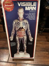 Skilcraft visible man anatomy - visible,