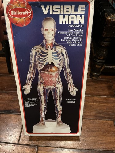 Skilcraft visible man anatomy - skilcraft,