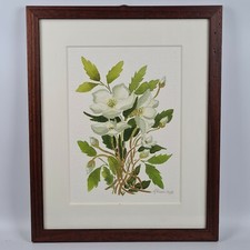 Alberto Piccolo (1940) Nus