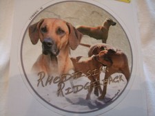 1 autocollant - motif chien