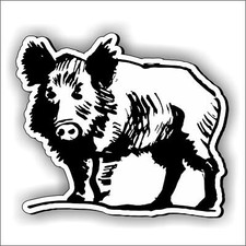 adesivo cinghiale car decal
