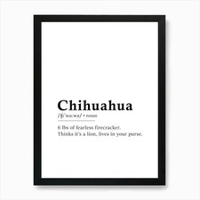 Poster definizione Chihuahua -