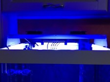 Plafoniera led acquario marino - plafoniera,