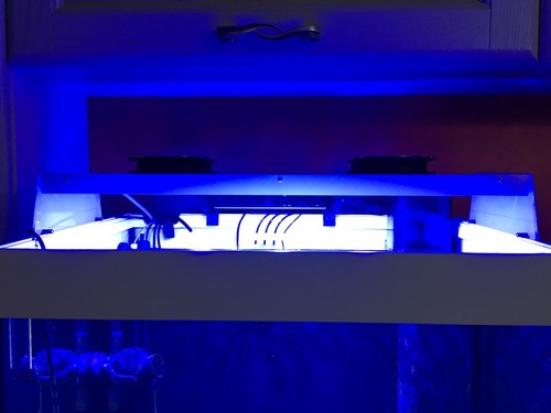 Plafoniera led acquario - plafoniera,