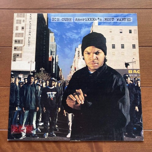 Ice cube amerikkka most - ice,