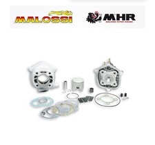 318460 GRUPPO TERMICO MALOSSI