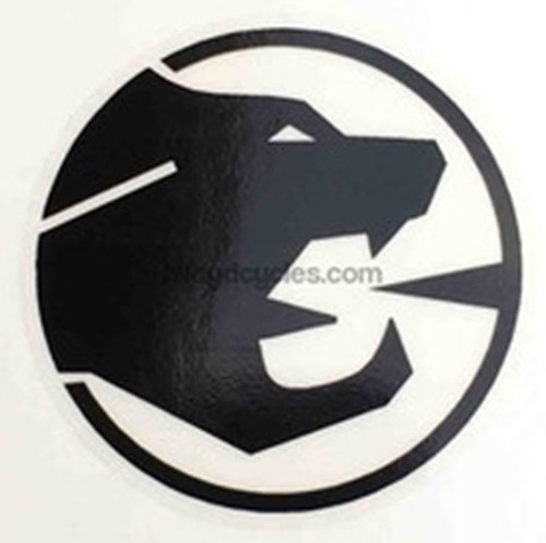 Adesivo testa cougar - adesivo, cougar.