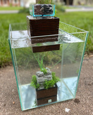 Acquario Fluval Chi 25 LITRI -