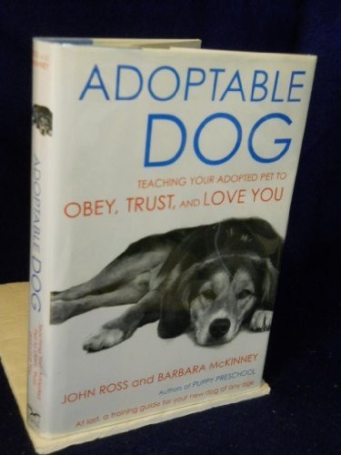 Adoptable dog teaching - cl:,