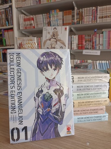 Neon genesis evangelion - neon,
