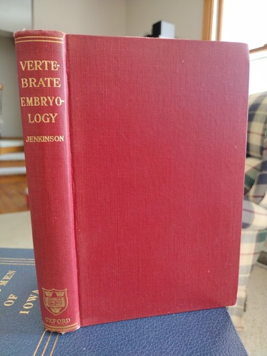 Vertebrate embryology early - vertebrate,