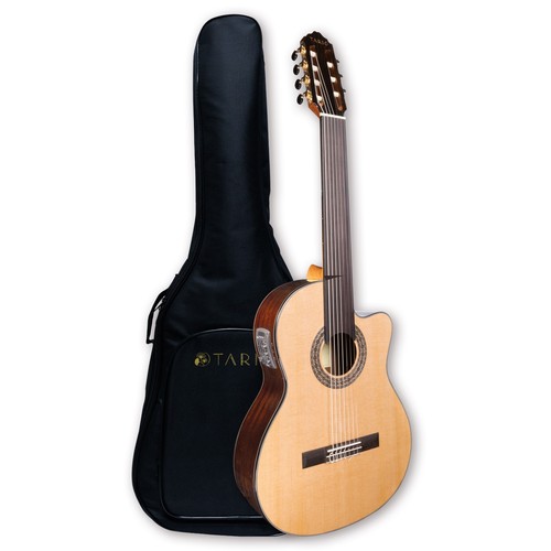 Fretless chitarra elettrica - chitarra,