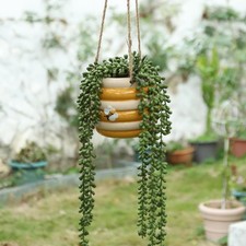 "Vasi fioriera per api in